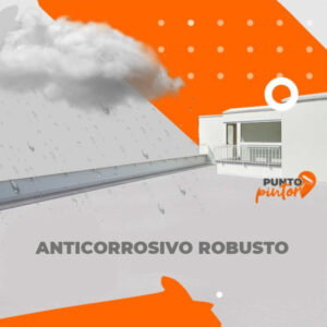 Anticorrosivo Robusto